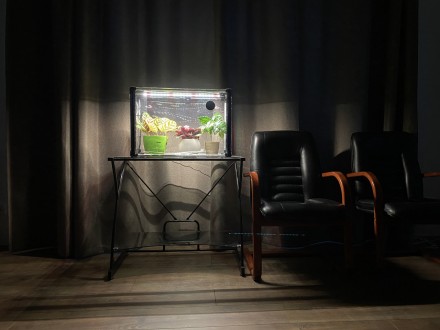 Мини-теплица для дома Sezam L с LED фитосветом (фитосветильником широкого спектр. . фото 9
