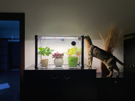 Мини-теплица для дома Sezam L с LED фитосветом (фитосветильником широкого спектр. . фото 10
