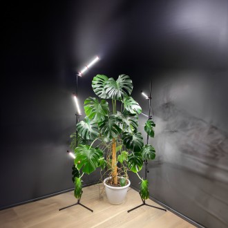 Підлоговий світильник для кімнатних рослин і декору IO-3
Настільний фіто світиль. . фото 4