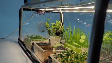 Проращиватель бытовой для семян, микрозелени и рассады GreenCap L Metaplant с фи. . фото 4