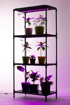 Підставка для квітів, Полиця-стелаж для рослин з вбудованим фіто світлом Lima 60. . фото 3