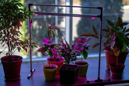 Регульований світлодіодний LED Фіто світильник Metaflex Uno Bicolor для рослин, . . фото 9