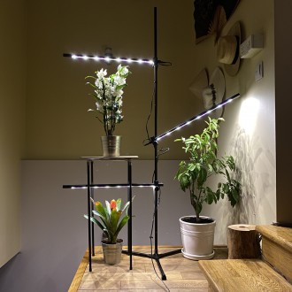 Підлоговий світильник для кімнатних рослин та декору IO-3 Timer. Лампа для висок. . фото 4