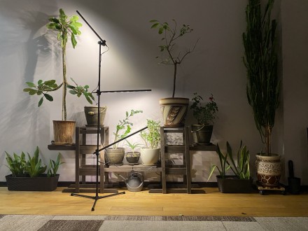 Підлоговий світильник для кімнатних рослин та декору IO-3 Timer. Лампа для висок. . фото 6