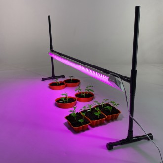 Мощный 40 Вт LED Фито-Светильник биколор спектра LS40-Bicolor для выращивания ра. . фото 2