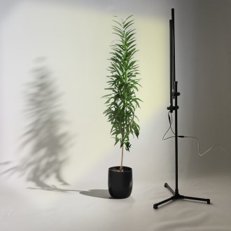 Підлога-настільна LED фітосвітильник для рослин IO-2 з двома фітолампами повного. . фото 4