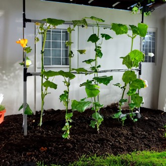 Садовый держатель-шпалера для подвязки растений Cucumber - Опора мини-парника дл. . фото 8