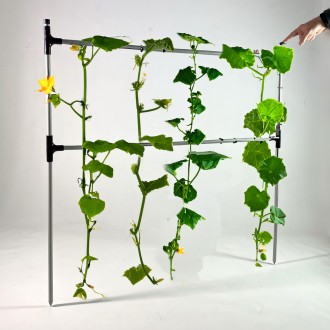 Садовий тримач-шпалера для підв'язування рослин Cucumber - Опора міні-парника дл. . фото 2