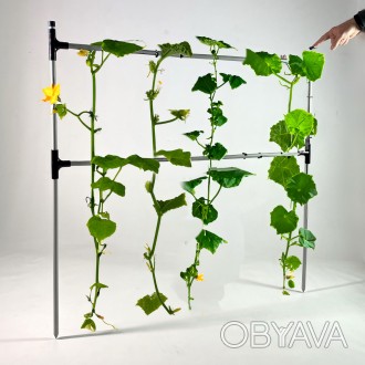 Садовый держатель-шпалера для подвязки растений Cucumber - Опора мини-парника дл. . фото 1
