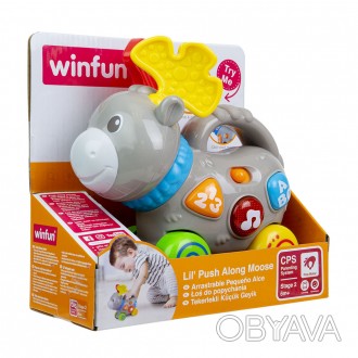 WinFun – американский изготовитель игрушек для детей. Компания уже более 20 лет . . фото 1