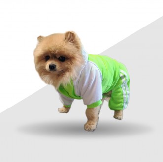 Костюм для собак Фитнес состоит из 2 частей - брюки (юбка) и кофточка на кнопках. . фото 3