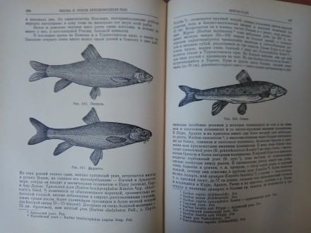 Продам книгу Л.П. Сабанеева "Жизнь и ловля пресноводных рыб", издатель. . фото 6