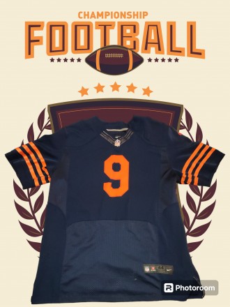 Футболка, jersey Nike NFL Chicago Bears, Robbie Gould, размер L/Xl, длина-80см, . . фото 2