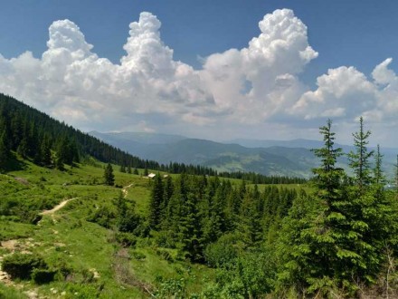 Земельна ділянка, площею 1,97 га, цільове призначення: для ведення особистого се. . фото 3