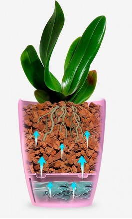 Унікальне кашпо для Орхідей "Орхідея TWIN білий 1,3 л" — з дренажною системою, ф. . фото 6