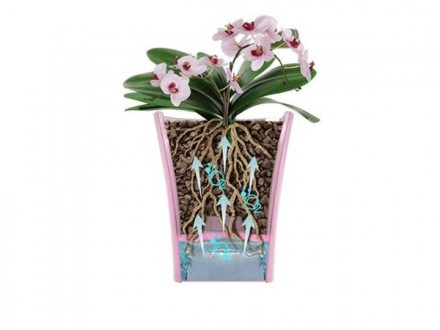 ARTE-DEA 1,25 л Прозрачный 
Двойной горшок для орхидеи дает защиту корням растен. . фото 6