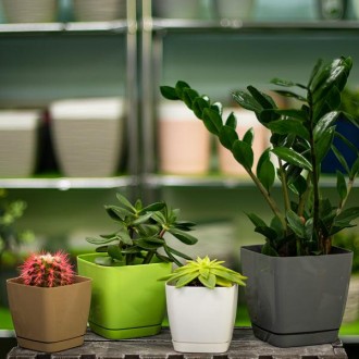 Горшки для комнатных растений Toskana Kwadro сделаны из качественного пластика ч. . фото 3