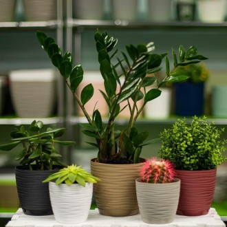 Горшок для комнатных растений Sahara mini изготовлен из качественного пластика к. . фото 3
