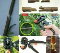 Прищепний секатор Professional Grafting Tool – інструмент, що з'явився на ринку . . фото 5