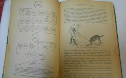 Основы Собаководства 1958 г. . фото 4
