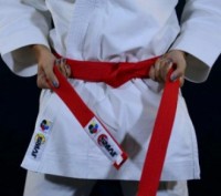 
Пояс для карате кимоно с лицензией WKF красный SMAI B002UWKF одежда для единобо. . фото 6