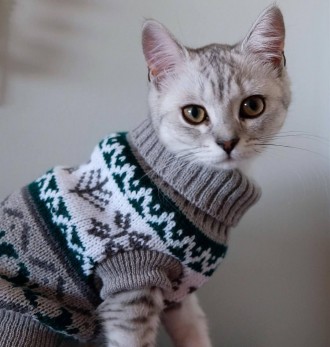 Вязаный свитер для котов (кошек) Alfa «Узоры» - свитерок хорошо тянется, очень т. . фото 6