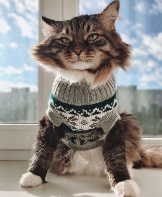 Вязаный свитер для котов (кошек) Alfa «Узоры» - свитерок хорошо тянется, очень т. . фото 5