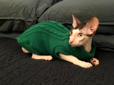 Вязаный свитер для котов (кошек) Alfa «Премиум». Свитерок хорошо тянется, очень . . фото 12