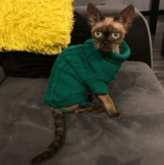 Вязаный свитер для котов (кошек) Alfa «Премиум». Свитерок хорошо тянется, очень . . фото 5