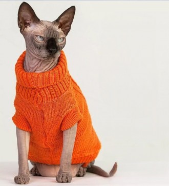 Вязаный свитер для котов (кошек) Alfa «Премиум». Свитерок хорошо тянется, очень . . фото 4