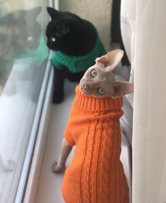 Вязаный свитер для котов (кошек) Alfa «Премиум». Свитерок хорошо тянется, очень . . фото 9