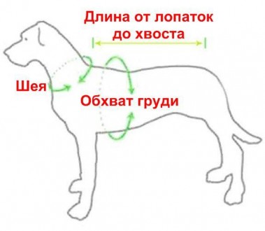 Толстовка для собак Лакі «Корона». Така дуже красива та яскрава толстовка нікого. . фото 10