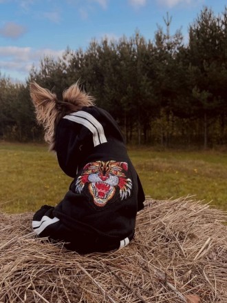 Спортивный костюм для собак «Тигр». Сверху комбинезон выполнен из трикотажа, вну. . фото 9