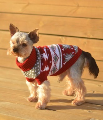 Вязаный свитер для собак Рождество. Свитерок хорошо тянется, теплый, есть лямки . . фото 11