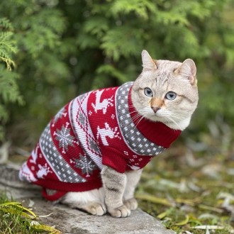 Вязаный свитер для котов (кошек) Рождество. Свитерок хорошо тянется, теплый, ест. . фото 6