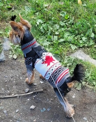 В'язаний светр для собак Канада. Светрик добре тягнеться, теплий, є лямки на ніж. . фото 10