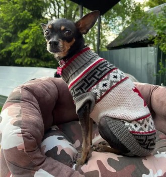 В'язаний светр для собак Канада. Светрик добре тягнеться, теплий, є лямки на ніж. . фото 9