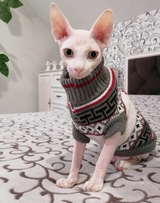В'язаний светр для котів (кішок) Канада. Светрик добре тягнеться, теплий, є лямк. . фото 9