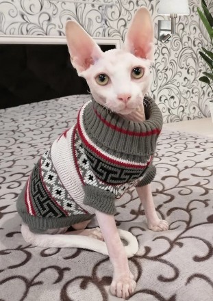 В'язаний светр для котів (кішок) Канада. Светрик добре тягнеться, теплий, є лямк. . фото 5