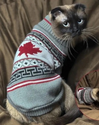 В'язаний светр для котів (кішок) Канада. Светрик добре тягнеться, теплий, є лямк. . фото 3