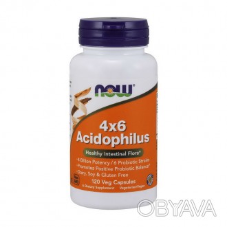  4x6 Acidophilus (120 veg caps) Описание продукта 4x6 Acidophilus – это качестве. . фото 1