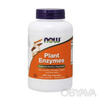 Plant Enzymes: натуральный помощник в переваривании пищиPlant Enzymes - это нату. . фото 1