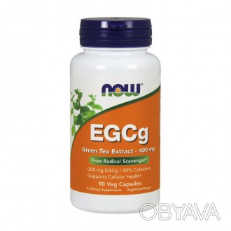 EGCg Green Tea Extract 400 mg (90 Veg Caps) - Натуральный Чайный Экстракт для По. . фото 1