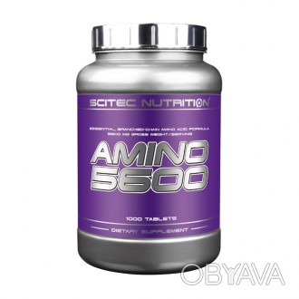 AMINO 5600 (1000 tabs) – добавка аминокислот для роста мышечной массыПроизводите. . фото 1