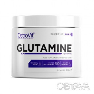 Glutamine Pure 300 г от производителя из ПольшиGlutamine Pure 300 г - это высоко. . фото 1