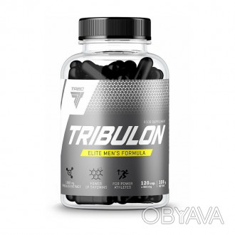 Tribulon (120 капсул) - натуральный бустер тестостерона из ПольшиХотите улучшить. . фото 1