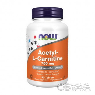 Acetyl-L-Carnitine 750 mg (90 tab)Общая информацияAcetyl-L-Carnitine 750 mg (90 . . фото 1