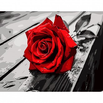 Картина за номерами Червона троянда ss1143. Одесса. фото 1 Картина за номерами Червона троянда ss1143. Одесса. фото 1