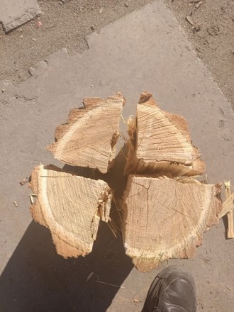 В проджу дрова твердих порід
Колоті, метрові
Якісні дрова для опаленн. . фото 5