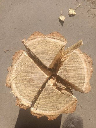 В проджу дрова твердих порід
Колоті, метрові
Якісні дрова для опаленн. . фото 4
